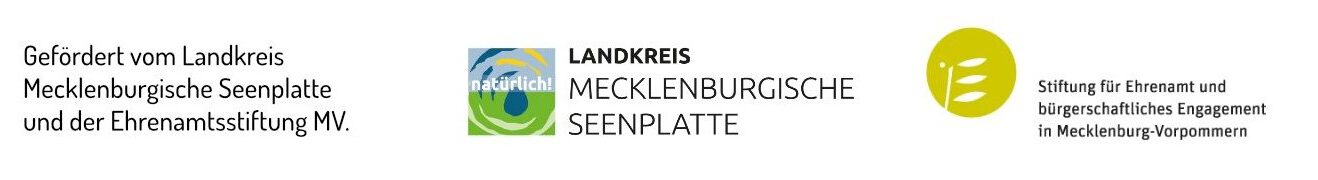 lk-mecklenburgische-seenplatte.de